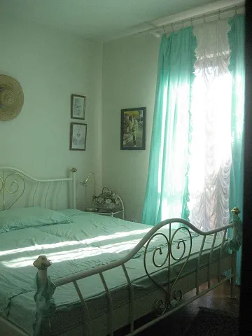 Spacious house surrounded by palm trees — photo 5